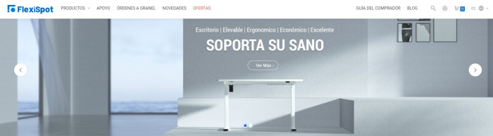 Ofertas especiales FlexiSpot