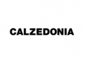Es.calzedonia.com